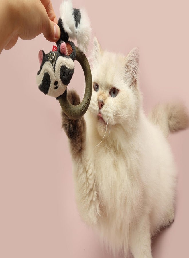 GiGwi Eco Line Raccoon Silvervine Ring, Interactive Soft Plush Cat Toy, Eco-Friendly Dental Chew for Oral Health, Promotes Hunting Instincts, Relaxation, Batting, Reduces Boredom, for Cats, Kittens - Image 5